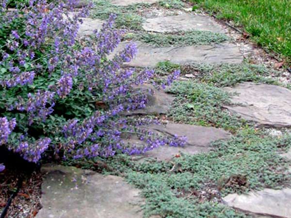 Offerte-realizzazione-vialetti-da-giardino-Parma